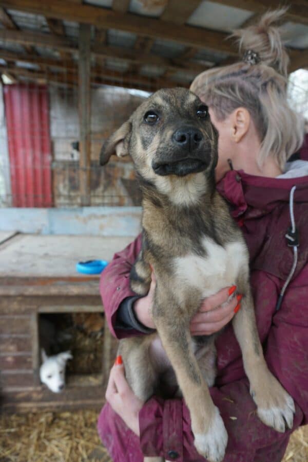 BABETTE - reserviert Betty - vermittelt – Bild 3