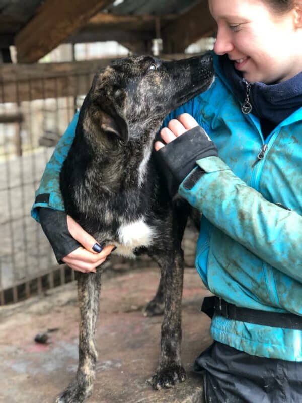 HAGEN - vermittelt Betty – Bild 4