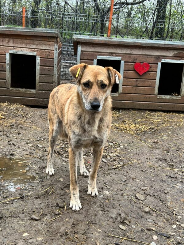 FLEURY (♀) – Bild 6