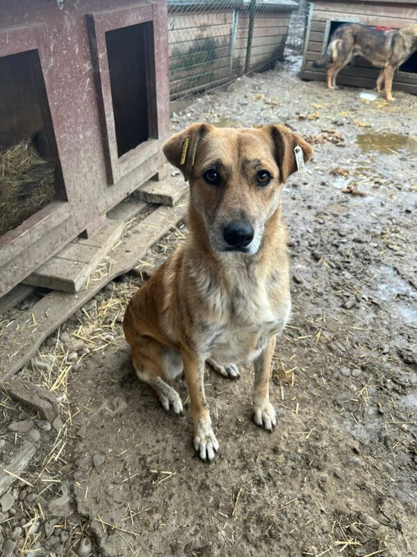 FLEURY (♀) – Bild 4