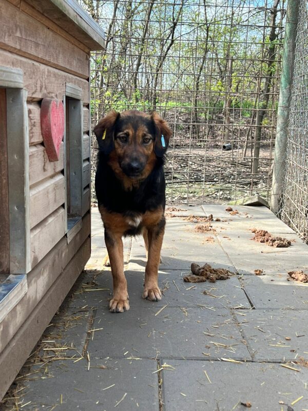 KIKI (♀) – Bild 2