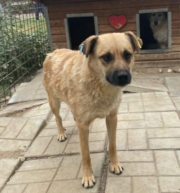 SIGYN (♀) – Bild 3