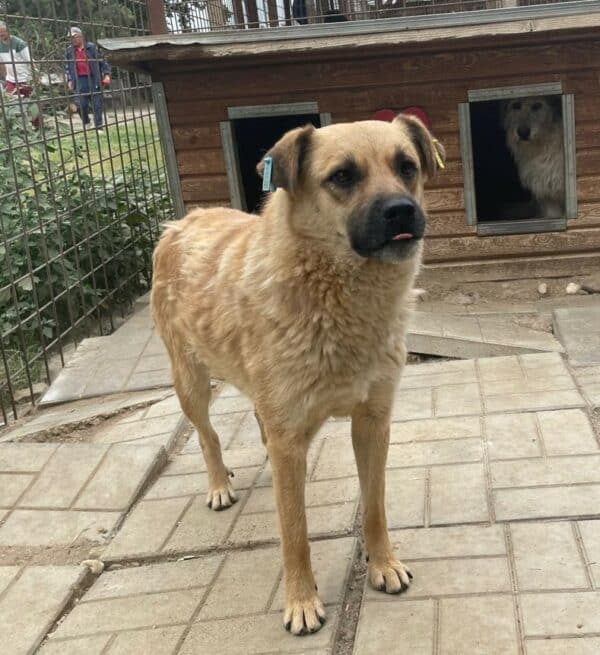 SIGYN (♀) – Bild 4