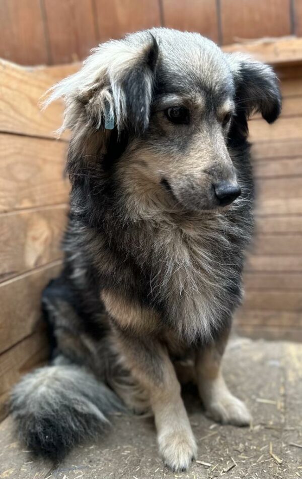 RASTI - vermittelt Betty – Bild 3