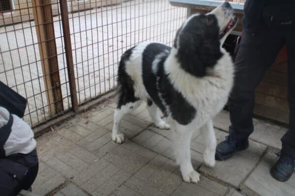 VANYA (= BERTHA) – Bild 4