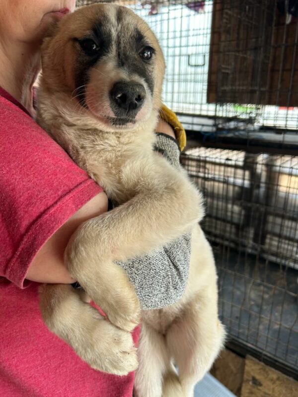 PANJA - vor Ort vermittelt – Bild 5
