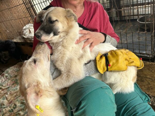 PANJA - vor Ort vermittelt – Bild 7