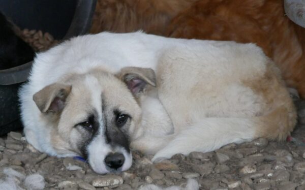 PANJA - vor Ort vermittelt – Bild 8