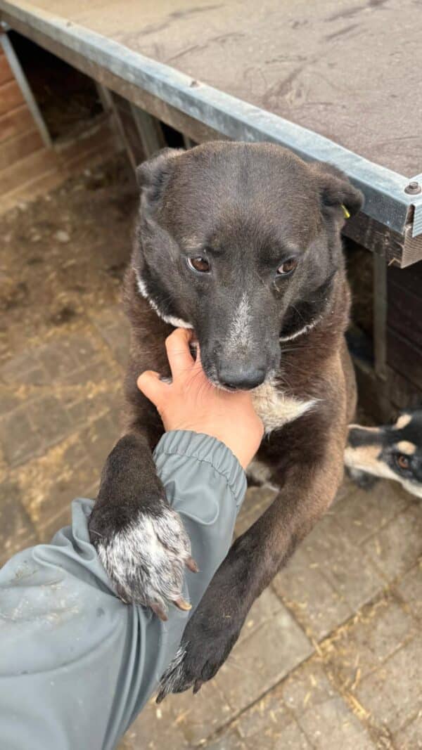 LILAH - Hautprobleme – Bild 6