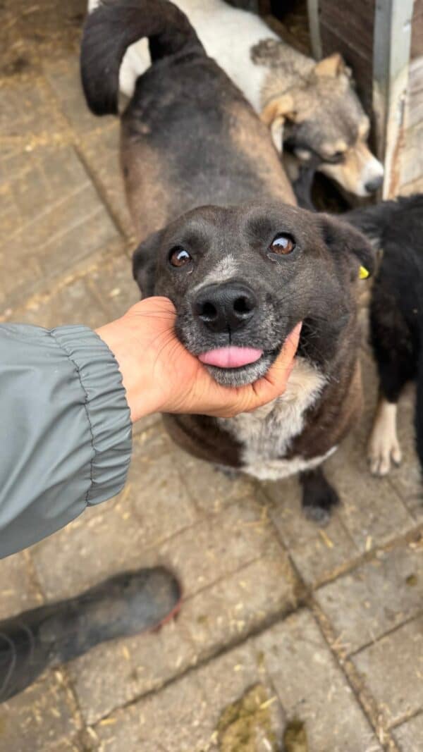 LILAH - Hautprobleme – Bild 11