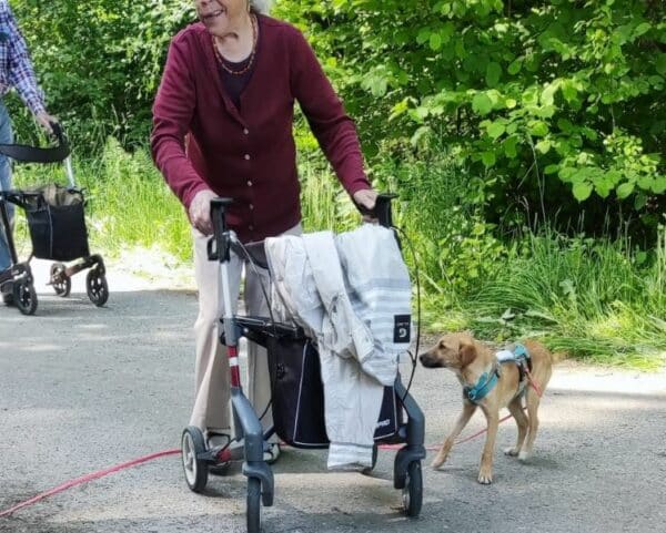 Lynnie in 21493 Möhnsen *vermittelt* – Bild 8