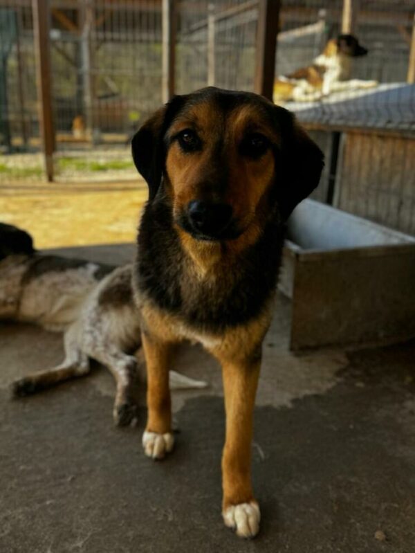 RAZOMI (♀) – Bild 9