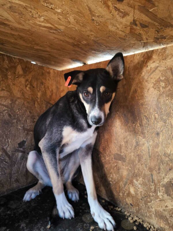 FIONA (♀) – Bild 5