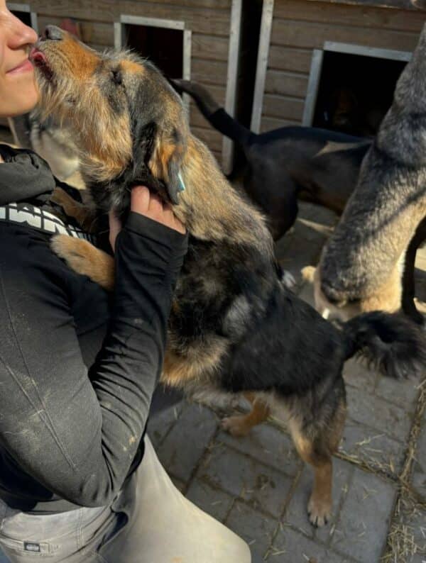 AZITA (♀) - ausgereist zum TST – Bild 8