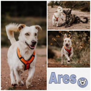 ARES (♂) in 55568 Lauschied