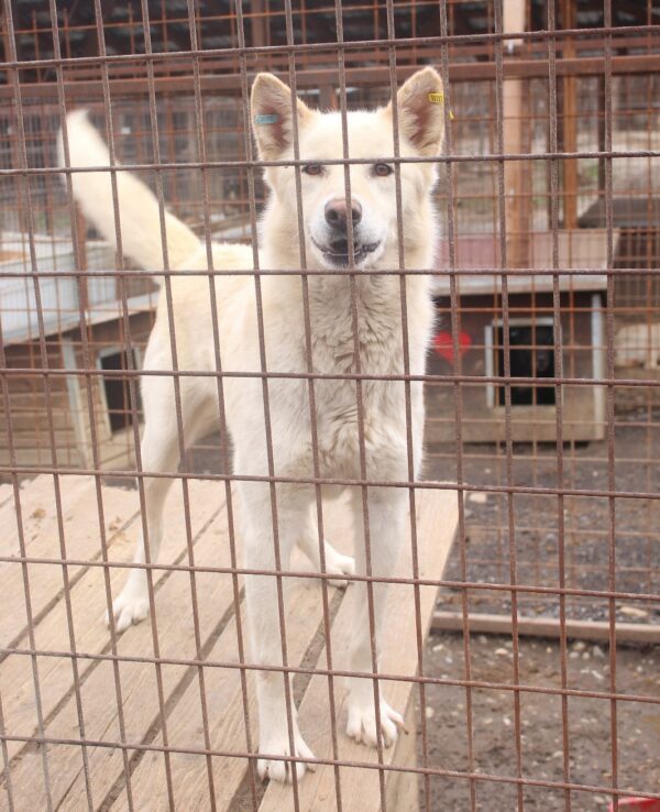 PAKO (♂) – Bild 8