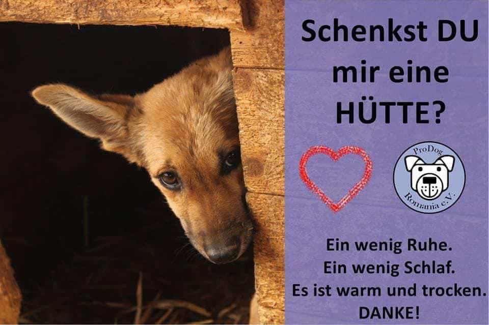 Schenkst du mir eine Hütte? – Hüttenaktion für den Winter 🛖❄️
