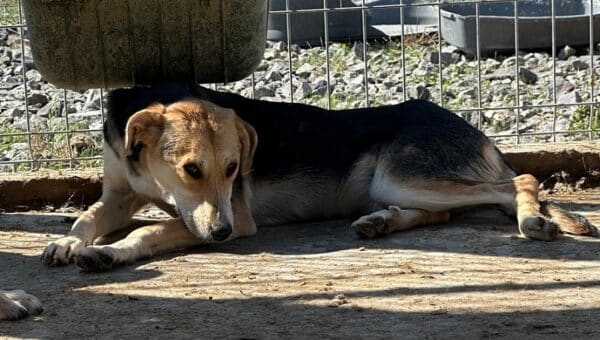 KILIA (♀) – Bild 5