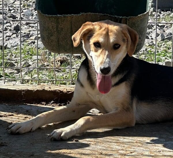 KILIA (♀) – Bild 3