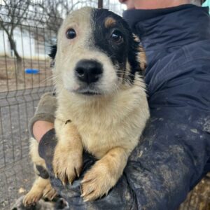 FRIDA - auf PDR PS im PLZ Bezirk 95 *ausgereist*