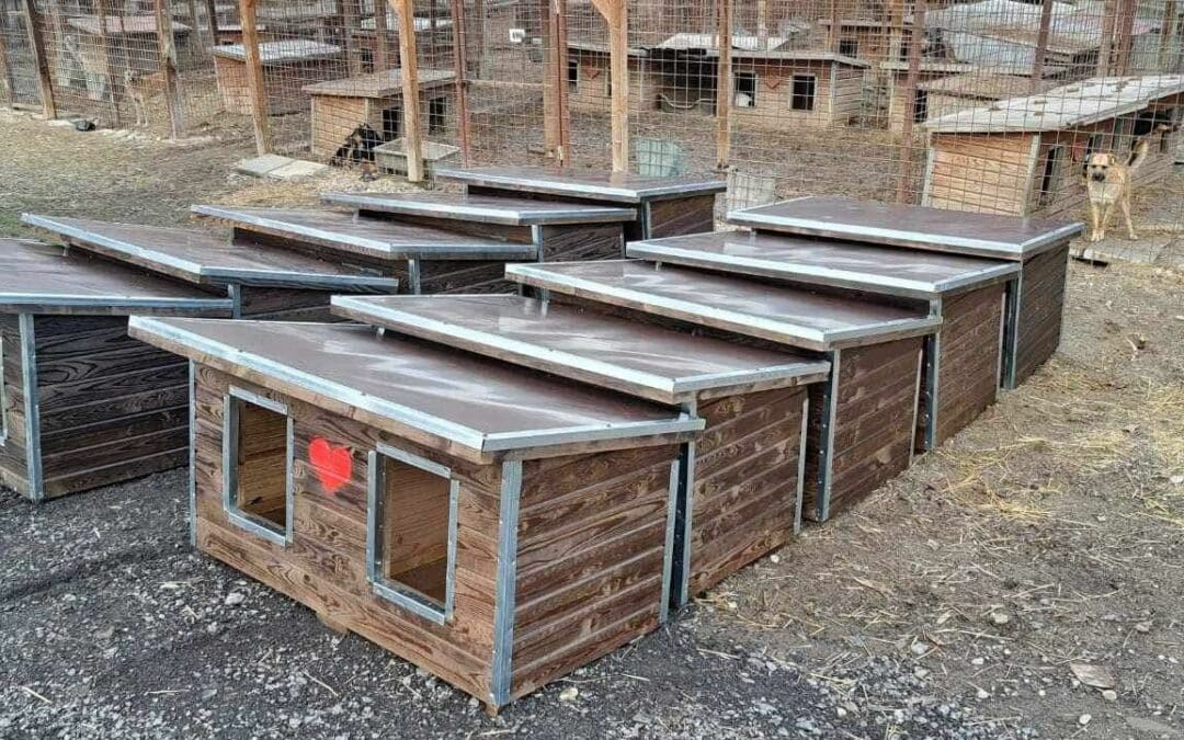 Weitere 10 Doppelhütten erreichen Bucov 🛖💚