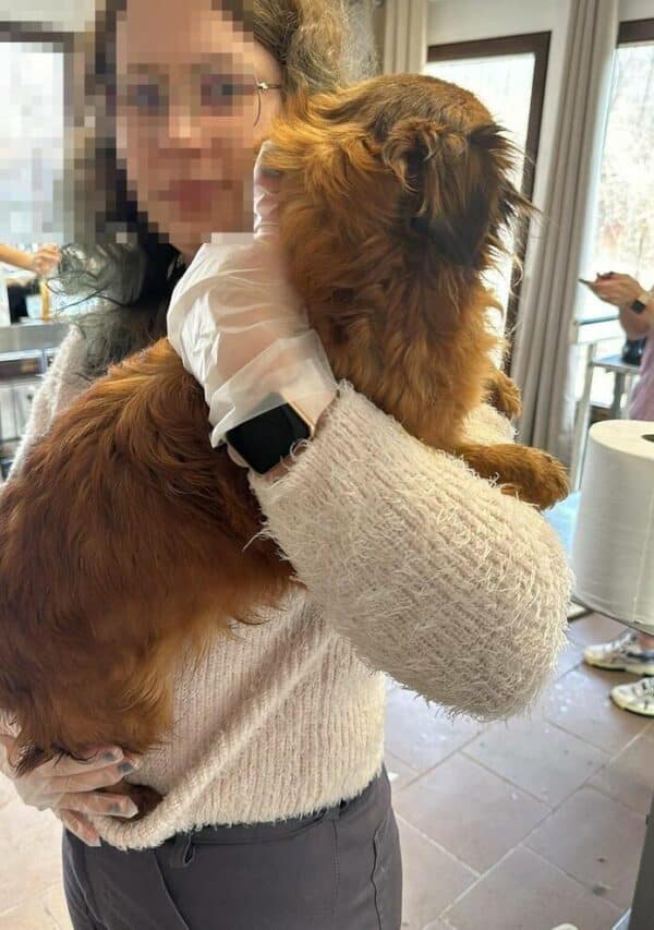 LINDIE (♀) - ausgereist zu Second Chance Dogs – Bild 4