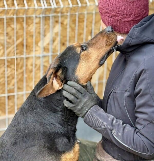 KITO (♂)