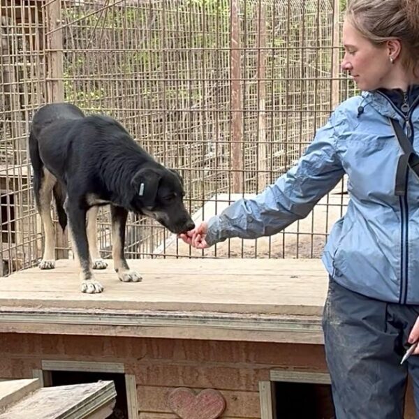 DOREA (♀) – Bild 9