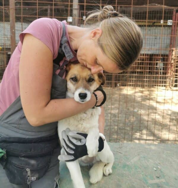 OLYMPIA (♀) - reserviert Tierhilfe Lebenswert DR - vermittelt – Bild 3