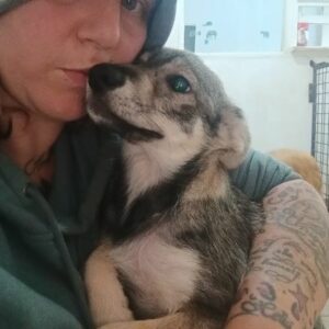 BECCA (♀) - ausgereist zur Tierhilfe Lebenswert