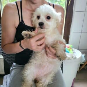SUNNYLIE (SHARON) (♀) - auf PDR PS im PLZ Bezirk 24 - vermittelt
