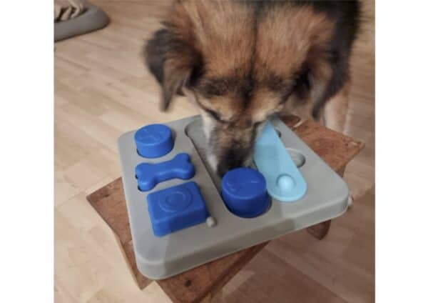 LAINI- Gnadenplatzhund seit dem 03.08.2024 - vermittelt – Bild 3