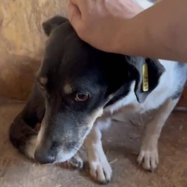 NALA (♀) – Bild 4