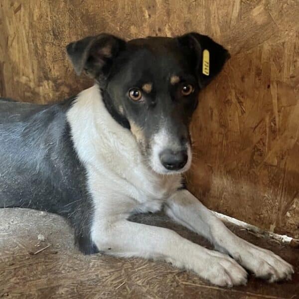 NALA (♀) – Bild 7