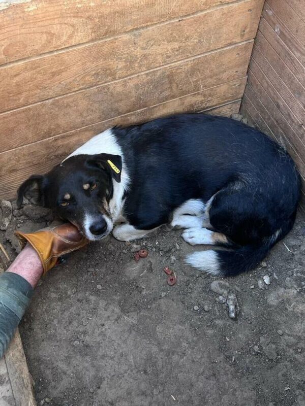 NALA (♀) – Bild 10