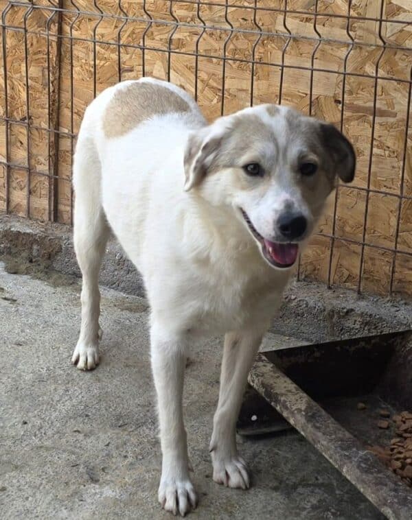 JANE (♀) – Bild 2