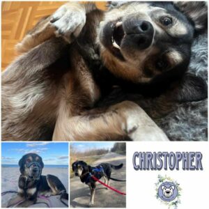CHRISTOPHER (♂) in 93102 Pfatter