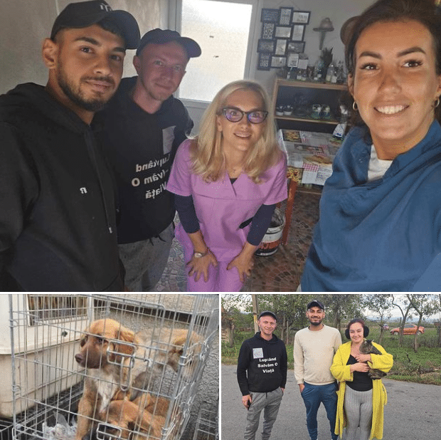 Erfolgreiche Kastrationsaktion 🐶🐱