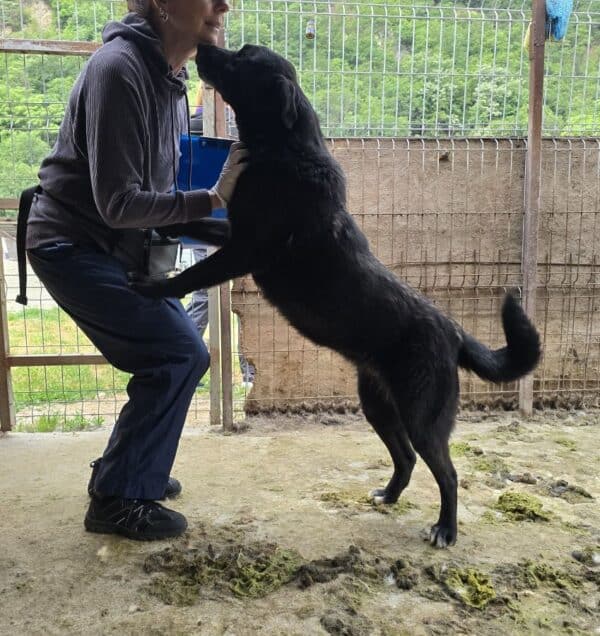 ALEIKA (♀) - ausgereist zum TH Filderstadt (AL) – Bild 4