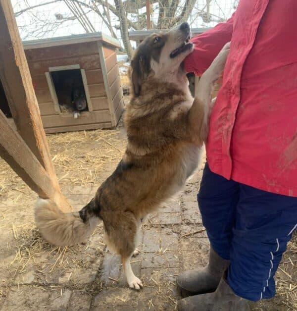JUANITA (♀) - ausgereist zum TH Tuttlingen (AL) – Bild 10