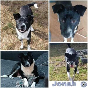 Jonah (♂) in 94518 Spiegelau