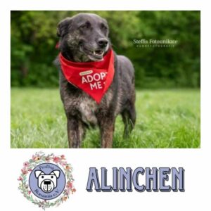 ALINCHEN (♀) in 99427 Weimar