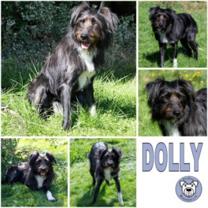 DOLLY (♀) in 95615 Marktredwitz