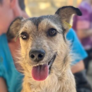 PÜPPY (♀)