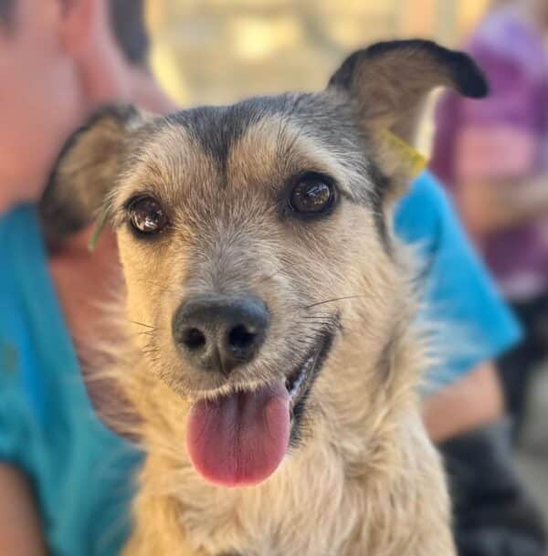 PÜPPY (♀)