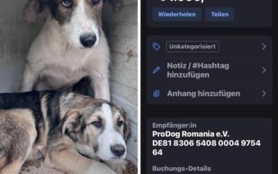 Wir sagen Danke: Tierschutzverein Angsthund spendet 1.000€ für unseren Kastratopf ❤️