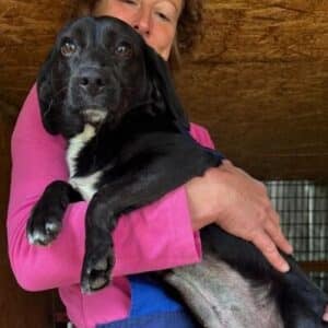 LINAH (♀) - vermittelt MD