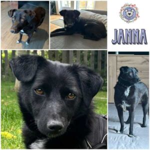 JANNA (♀) in 31311 Uetze