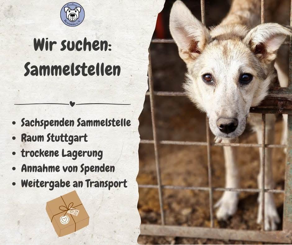 📣 Aufruf: Sachspenden-Sammelstelle für Tierheimhunde in Rumänien gesucht – Raum Stuttgart