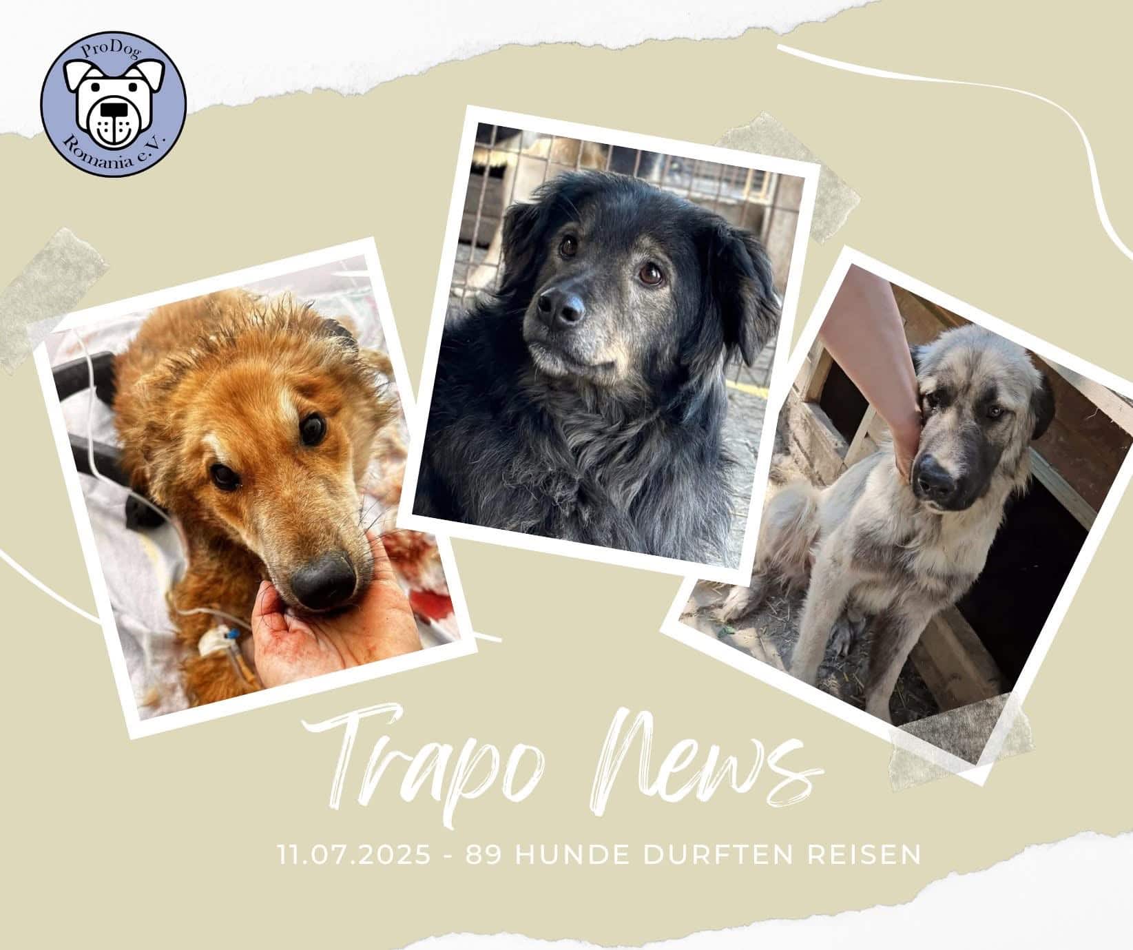 Glückstransport am 11.07.2025 🍀